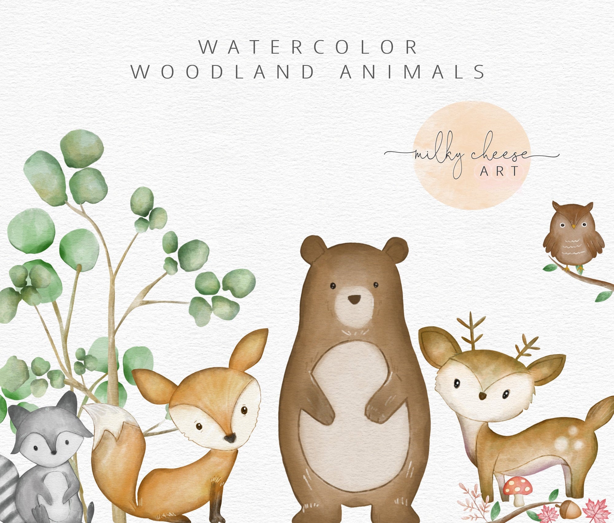 Baby shower png Raccoon clipart Watercolor clipart Woodland animals clipart