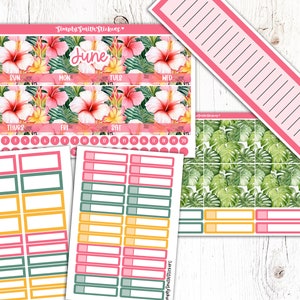 Kit d'autocollants mensuels JUIN | 7 x 9 | Stickers PERSONNALISABLES | Stickers pour agenda | Accessoires pour agenda | Stickers mensuels