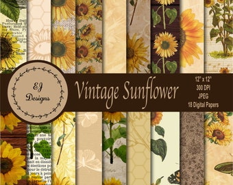 Download Sunflower Digital Paper Etsy