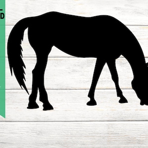Silhouette de cheval, Clipart animal, Mustang, Bronco, Équin, Fichier coupé SVG, PNG, JPG