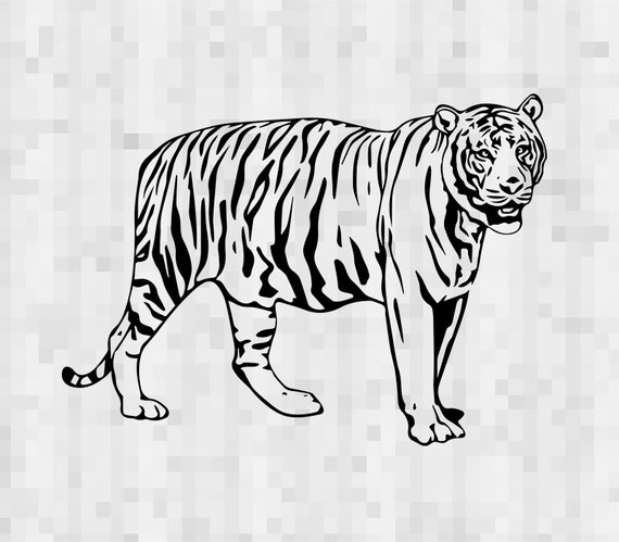 Download Svg Zodiac Sign Tiger Vector Layered Cut File Silhouette Cameo Etsy