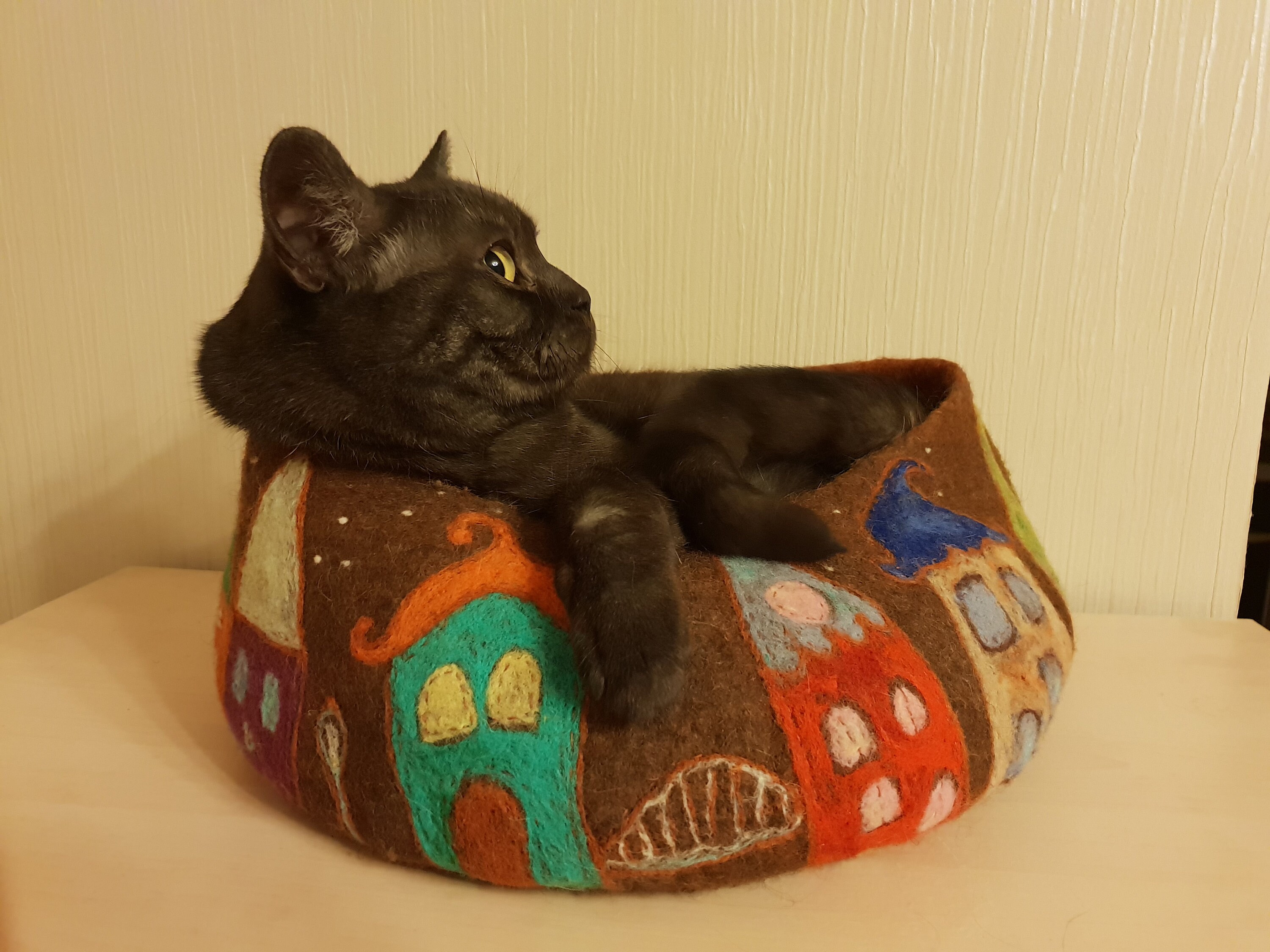 Woolen cat basket. Cat rest place. Modern cat. Natural pet Etsy