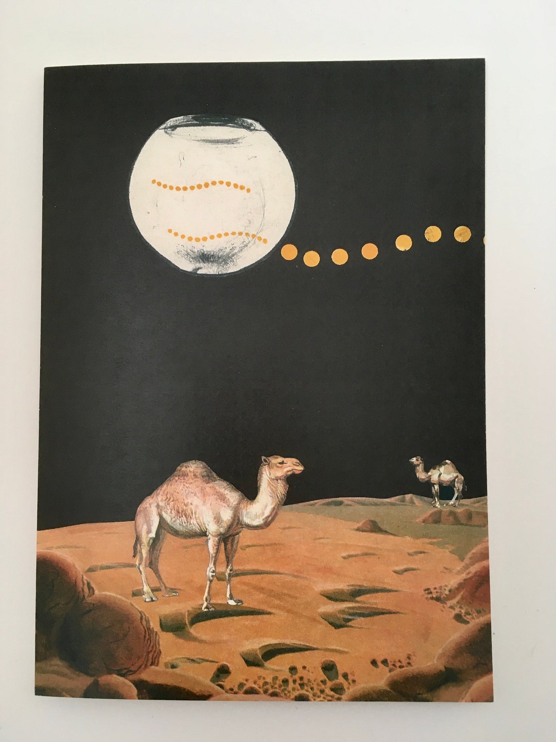 Camels Unique Blank Greeting Card print of an Original Etsy