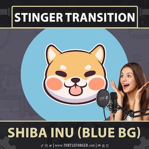 Shiba Inu Stinger Transition (Blue) | Shiba Inu Dog Puppy | Cute Chonky Chubby Chibi Kawaii | Animated Twitch Stream Stinger Transition