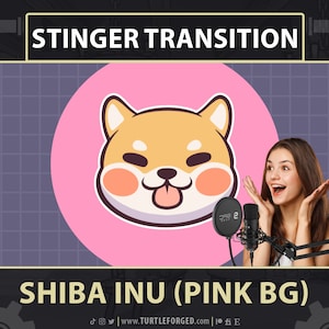 Shiba Inu Stinger Übergang (Pink) | Shiba Inu Hund Welpe | Niedliche Chonky Chubby Chibi Kawaii | Animierter Twitch Stream Stinger Übergang