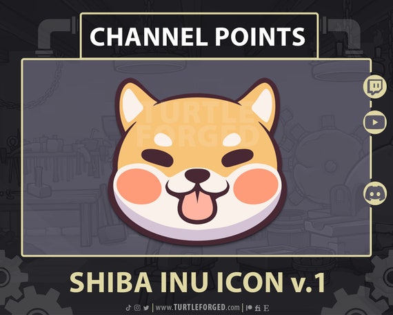 shiba inu chonky
