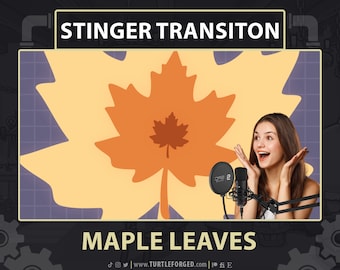 Maple Leaves Stream Stinger Transition: Animated Autumn Foliage (Digital Download)