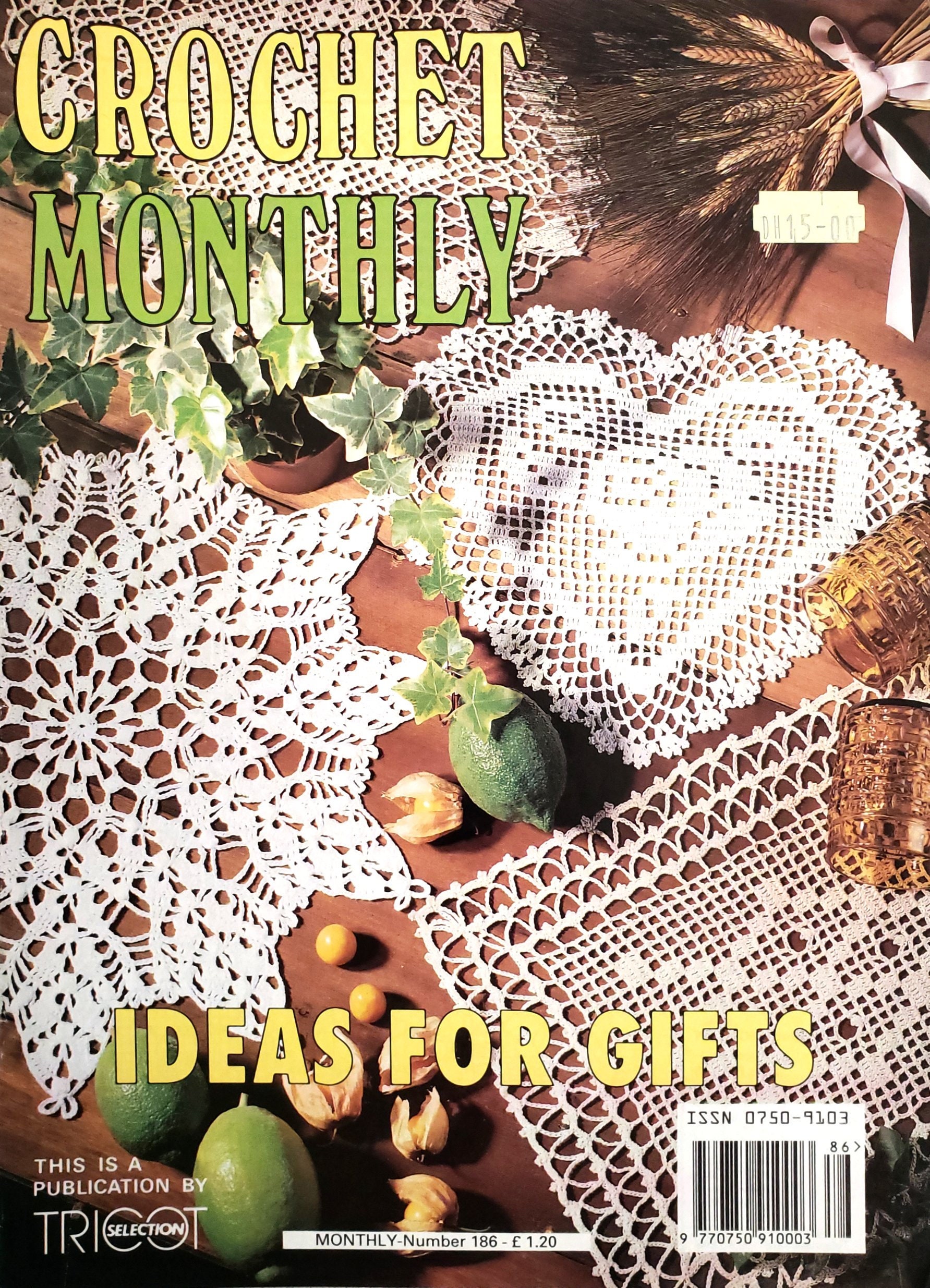 30 Doily Dress Crochet Patterns for Charming Wearables and Vintage Lace Ideas 4 Crochet Monthly Pattern Book with Doilies and Home Pieces