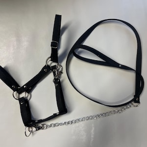 Puede incluir: Arnés de nailon negro con anillos metálicos, cierres y una cadena plateada. El arnés tiene correas ajustables y un lazo para el cuello. Diseño simple y funcional, adecuado para diversos usos.