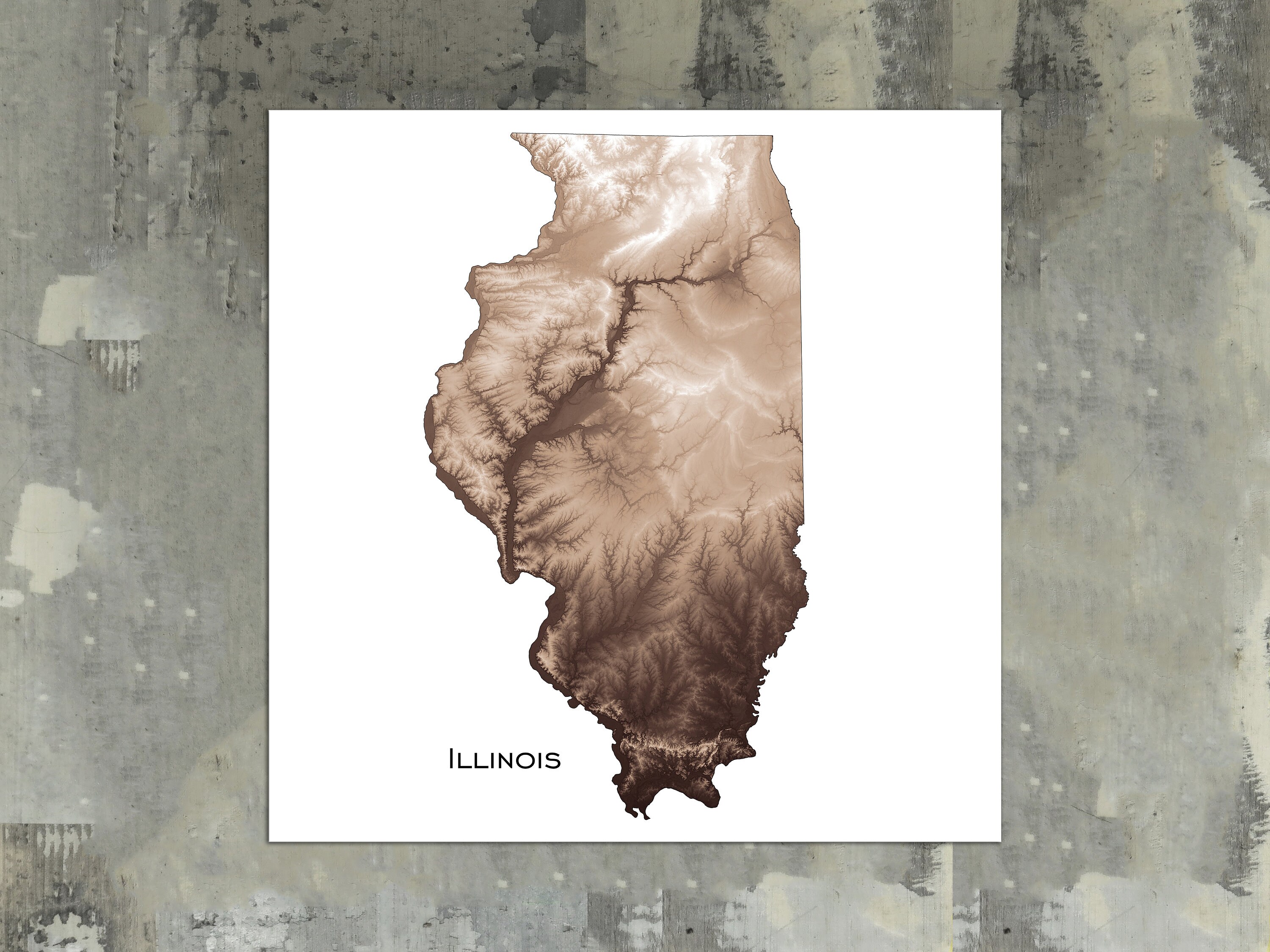 Illinois Map Art Print US State Topographic Map - Etsy