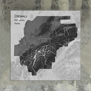 Denali Topographic Map Art Print Denali National Park - Etsy