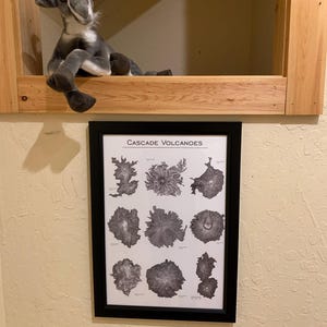 Peut inclure: Une affiche encadr&eacute;e en noir avec le titre "CASCADE VOLCANOES" et une carte de diff&eacute;rents volcans. L'affiche est accroch&eacute;e &agrave; un mur avec une ch&egrave;vre en peluche qui d&eacute;passe du haut du cadre.