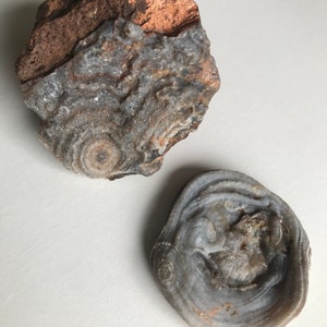 Aura Chalcedon Rose, Drusenengel Aura Chalcedon, Chalcedon Kristall, Aura Chalcedon Rose flach, Sammler Kristalle, Unikat Kristall