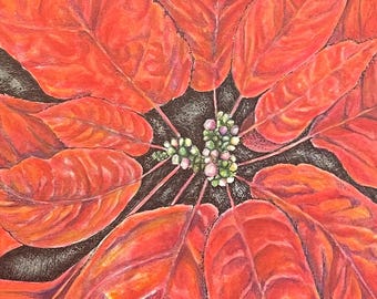 Poinsettia notecards download
