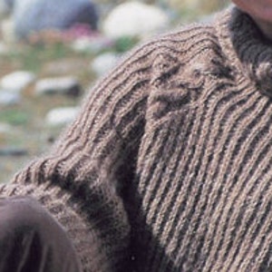 May include: A brown knitted sweater with a turtleneck collar and a ribbed texture.