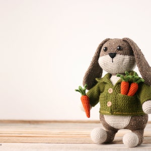 Cottage Garden Crochet Bunny and Jacket Pattern Bunny in Jacket Bunny Pattern Long Eared Bunny Bunny Amigurumi Easter Bunny image 9