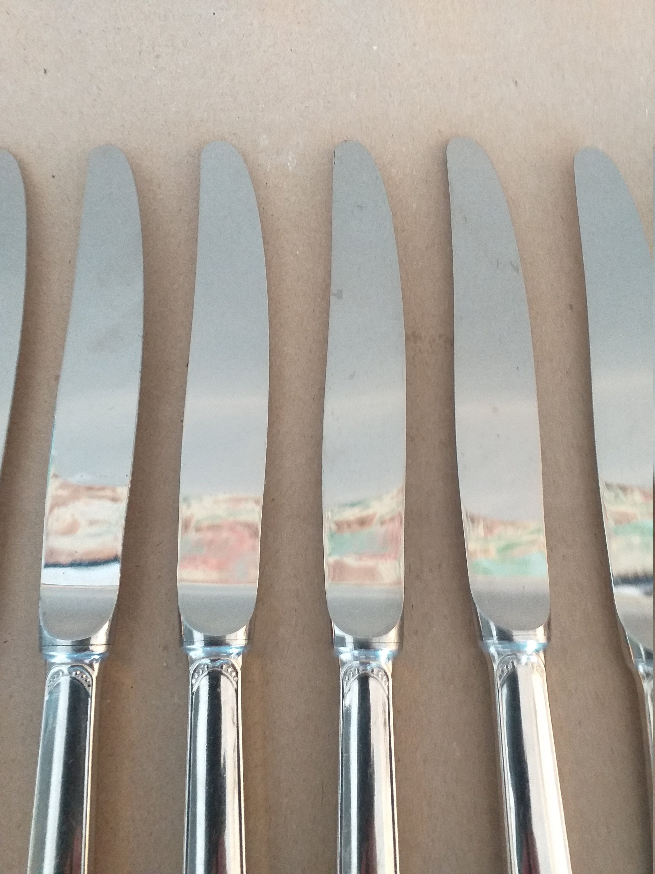 8 Guy Degrenne vintage dinner knives Etsy
