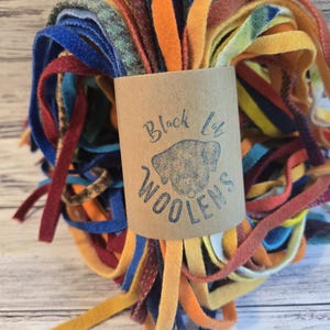 Couleurs variées, couleurs variées, teintes en usine et teintes à la main pour 100 lanières de laine Dorr Mill pour accrocher des tapis