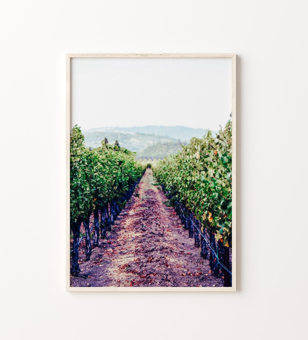 Napa Valley Wall Art Print, Napa Valley Wall Art Decor, Napa Valley Photo, Napa Valley Travel