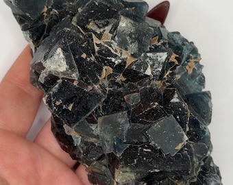 May include: A cluster of dark, deep blue and black cubic fluorite crystals with sharp, geometric edges and translucent facets. The mineral specimen displays a natural, rugged texture with visible crystalline formations and subtle color variations.