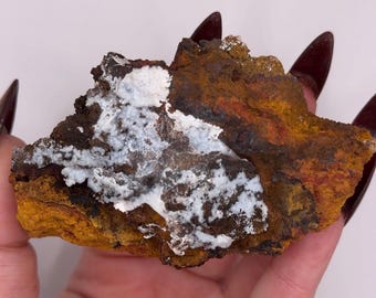 May include: A raw mineral specimen featuring a rough, textured surface with a prominent patch of white crystalline material contrasted against deep earthy tones of dark brown, rust orange, and ochre yellow throughout the jagged rock formation.