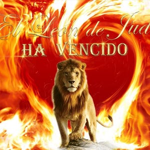 Lion of Judah Flag | Christian Worship Banner, Faith Based | Prophetic Praise Flag | Spiritual Warfare Art | Spanish Church flag 36x54 in