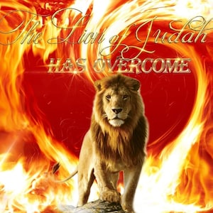 Lion of Judah Flag | Christian Faith Banner | Prophetic Worship Flag | Lion of Judah Decor | Church Flag | Christian Dancing Flag| Fire Lion