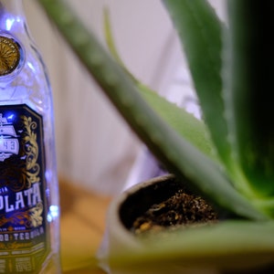 Tequila Bottle Light (De PlataTequila)