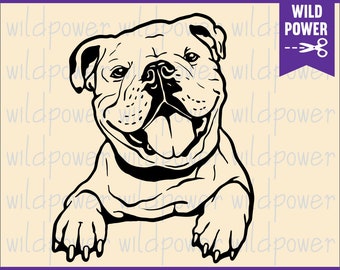 Download American Bulldog Svg Etsy
