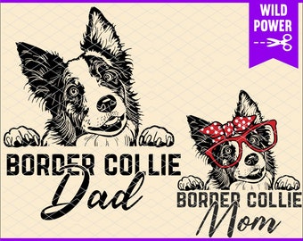 Download Mandala Border Collie Etsy