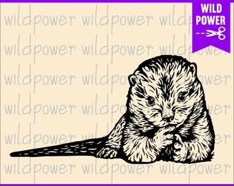 Download Otter Svg Etsy