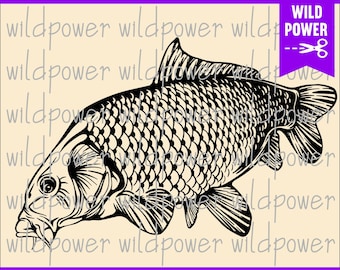Free Free 275 Carp Fish Svg SVG PNG EPS DXF File