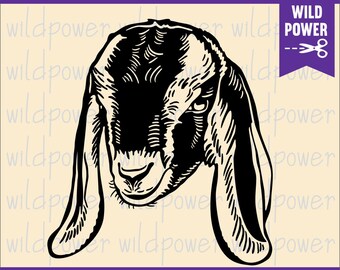 Download Nubian Goat Svg File Etsy
