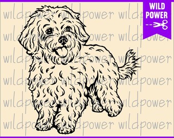 Download Bichon Frise Svg Etsy