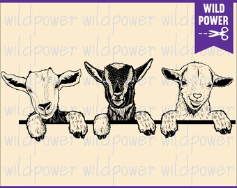 Download Funny Goat Svg Etsy