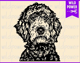 Download Labradoodle Svg Etsy