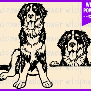 Berner Sennenhund svg, Berner Sennenhund svg, Berghund svg, Berner Sennenhund t-shirt, Berner Sennenhund Clipart