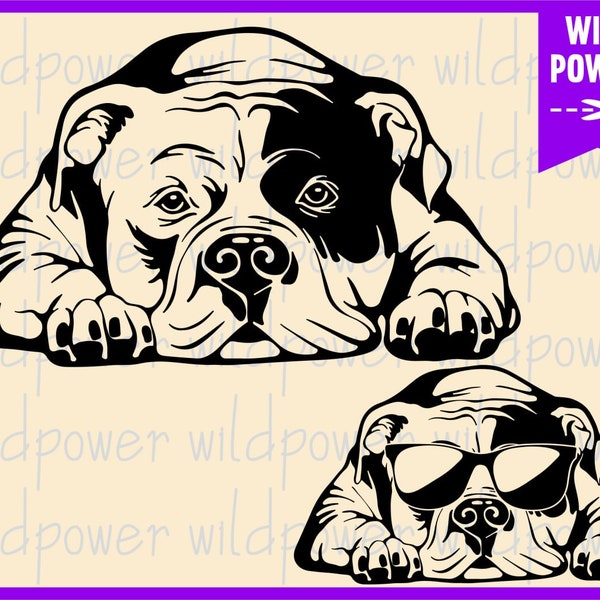 Pitbull dog svg,Pitbull dog vector,Pitbull dog shirt,Pitbull dog clipart,Pitbull dog dxf,Pitbull dog png,Pitbull dog cricut