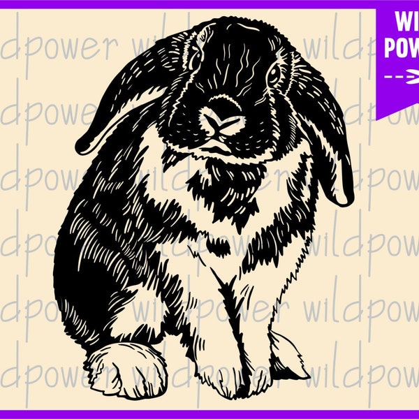 Cara de conejo lindo svg,Rabbit svg,Bunny svg archivos para cricut,Easter farm animal clipart,Bunny Vector,Rabbit Shirt,Rabbit Face svg,Rabbit dxf