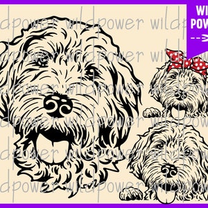 Labradoodle svg,dog svg cricut, cute Face Labradoodle svg,printable graphics cut file doodle breed,Labradoodle dxf,Labradoodle cut files