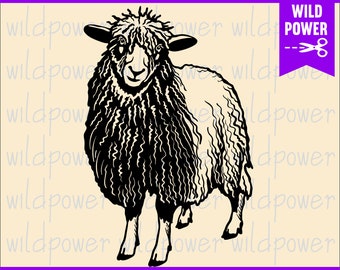 Cotswold Sheep svg,Sheep svg stencil, farm animal cricut, lamb clipart vector,dxf files for laser CNC plasma cut file,Pet Face Clipart