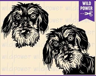 Wirehaired Dachshund svg,Wirehaired Dachshund dog svg,Wirehaired Dachshund clipart,Wirehaired Dachshund cricut,Dog svg,Pets svg