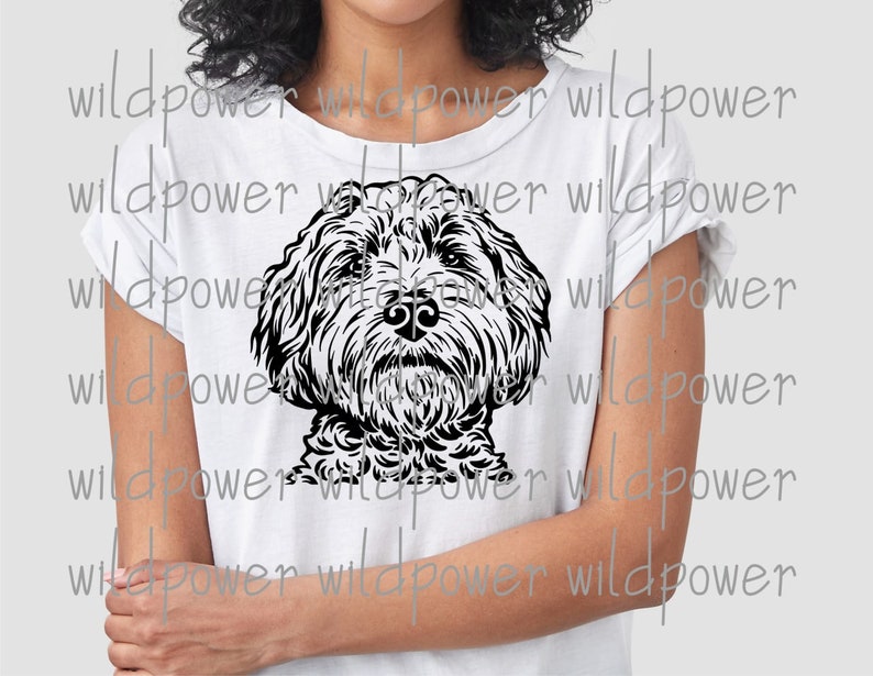 Download Labradoodle Svg Dog Svg Cricut Cute Face Labradoodle Svg Printable Graphics Cut File Doodle Breed Labradoodle Dxf Labradoodle Cut Files Color Art Collectibles Vadel Com