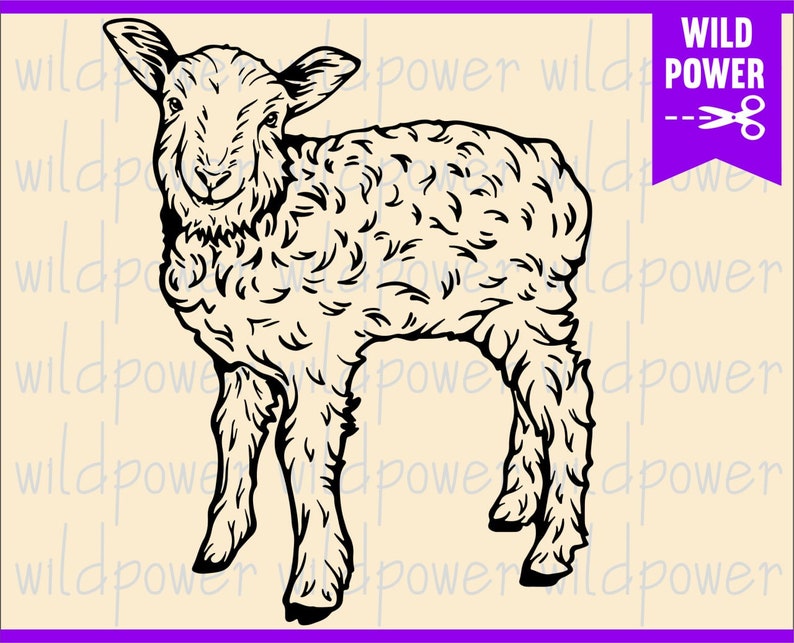 Download Sheep Face Svg Sheep Silhouette Funny Lamb Svg Sheep Svg Files For Cricut Flock Of Sheep Svg Sheep Clipart Sheep Vector Sheep Design Photography Art Collectibles Solomaster Ge