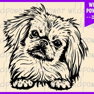 Pekingese svg dog,Pekingese svg file,Pekingese dxf,Pekingese face  svg,Pekingese file for Cricut,Pekingese dog clipart,Pekingese vector