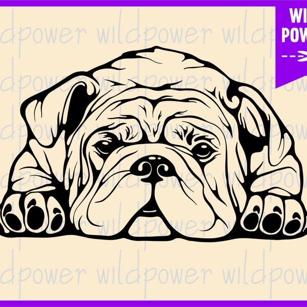 American bulldog svg,dog svg files for cricut, download,bulldog shirt design,dog svg,American bulldog cricut,American bulldog shirt,Dog dxf