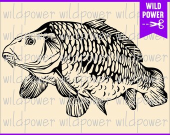 Carpa Fish Clipart, Carp Fish Svg, Karp Svg, Carp Fishing svg, Archivos de corte de pesca, Pesca Svg, Lago Pesca svg, Carp Fish Png