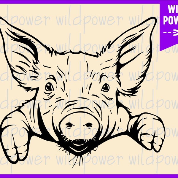 Pig funny face svg,Pig Vector,Pig Clipart,Pig Shirt,Pig printable,Farm animal svg,Pigs Svg files for cricut, Pig Svg Files,Pigs Dxf files,