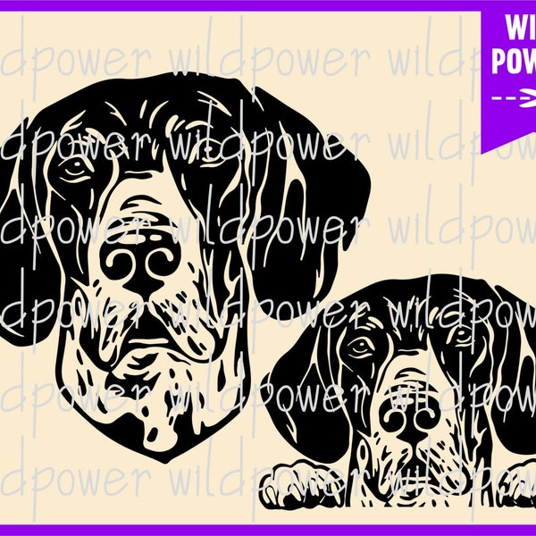 German Shorthaired Pointer svg,German Shorthaired svg,German Shorthaired Dog svg files,German Shorthaired clipart,Dog svg files for cricut