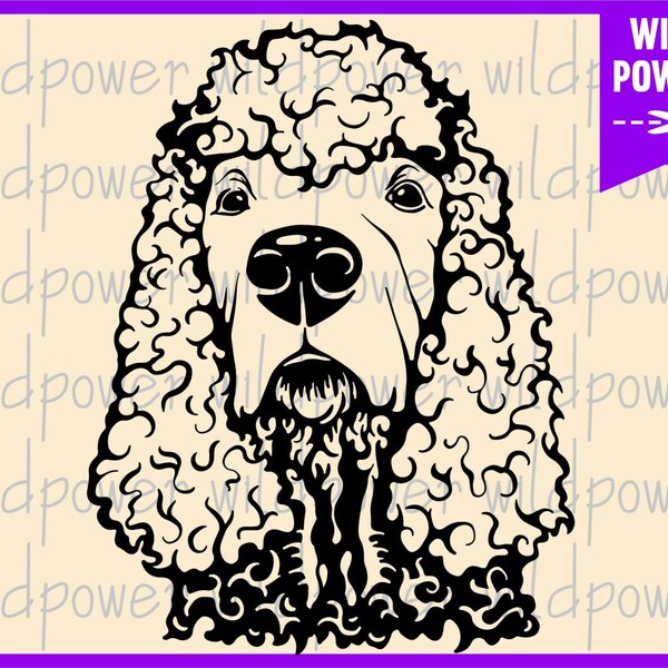 Irish Water Spaniel SVG, Irish Water Spaniel dog svg,Irish Water Spaniel clipar,Spaniel  dog svg,Spaniel face svg,Spaniel  cricut,